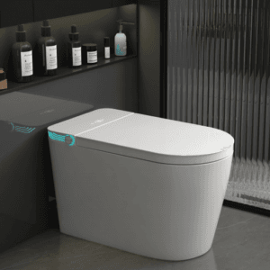 Intelligent Toilet